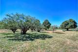 2922 Palmer Drive - Photo 42