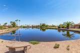10990 San Lazaro Drive - Photo 10