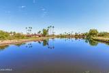 10990 San Lazaro Drive - Photo 11