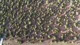 35555 Us Highway 60 - Photo 2