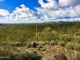 3353 Roughrider 5 Ac Road - Photo 5