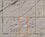 551XX Pine Street - Photo 17