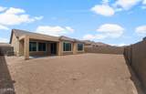 7691 Cactus Wren Way - Photo 21
