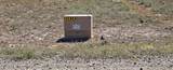 7700 Pasture Lane - Photo 3