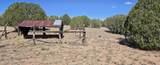7700 Pasture Lane - Photo 4