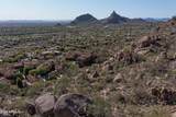 10942 Buckskin Trail - Photo 10