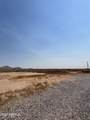 10450 Mallow Drive - Photo 1