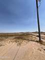 10450 Mallow Drive - Photo 3