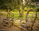 6055 Indigo Sky Road - Photo 5