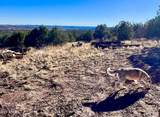0 Picacho Dr. - Photo 5