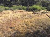 xxxxx Castle Hot Springs Road Road - Photo 3