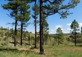 4675 Lookout Point Road - Photo 10