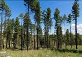 4675 Lookout Point Road - Photo 9