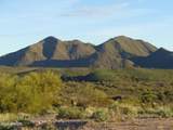 13871 White Face Canyon Drive - Photo 4