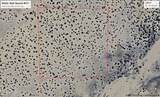 171 Witch Well Ranches - Photo 1