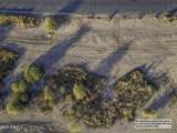 11831 Loma Vista Drive - Photo 8