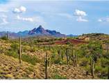 14645 Fountain Hills Boulevard - Photo 31