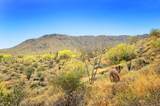 14317 Mourning Dove Drive - Photo 3