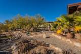 41525 Desert Dove Drive - Photo 29