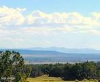 Lot 736 Woodland Valley Ranch - Photo 4
