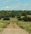 Lot 736 Woodland Valley Ranch - Photo 6