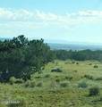 Lot 736 Woodland Valley Ranch - Photo 7