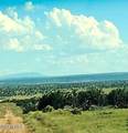 Lot 736 Woodland Valley Ranch - Photo 8