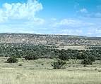 Lot 746 Woodland Valley Ranch - Photo 1