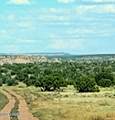 Lot 746 Woodland Valley Ranch - Photo 3