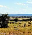 Lot 746 Woodland Valley Ranch - Photo 4