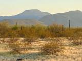 TBD Liebre Rd Lot E 1.5 Acres - Photo 2