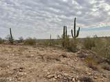 43925 Saguaro Blossom Lane - Photo 8
