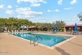 2410 Aloe Vera Drive - Photo 39