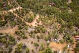 2854 Thunderbird Way - Photo 14