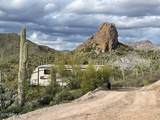 00 Elephant Butte Road - Photo 1