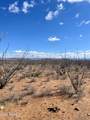 TBD 39.918 AC LOT 23 - Photo 1