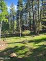 6 County Road 1007 - Photo 13