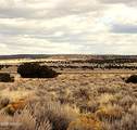 Lot 271 Red Sky Ranch - Photo 6