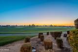 1401 Sweet Citrus Drive - Photo 42
