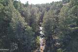 0 Forest Rd Lake Senica District - Photo 8