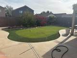 24013 Mojave Lane - Photo 10