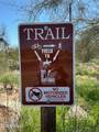 8375 Via Dona Road - Photo 39