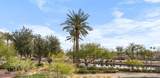 7175 Camelback Road - Photo 3