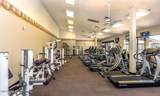 8637 Golden Cholla Circle - Photo 48