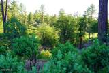 505 Grapevine Drive - Photo 5