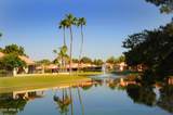 24831 Ribbonwood Drive - Photo 82