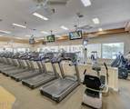 24831 Ribbonwood Drive - Photo 85