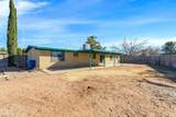 3935 Mallard Place - Photo 31