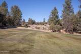 2509 Scarlet Bugler Circle - Photo 60