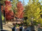 2509 Scarlet Bugler Circle - Photo 70